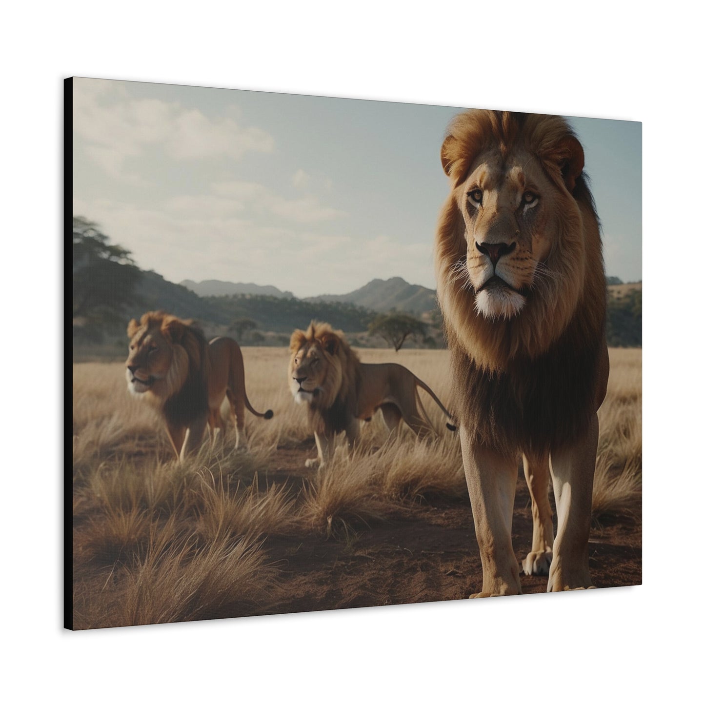 Canvas Gallery Wraps The Lions