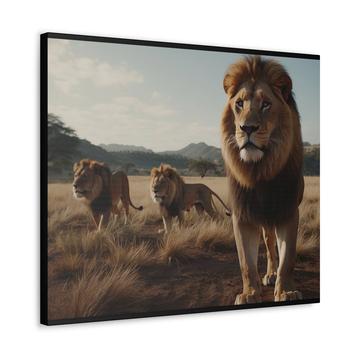 Canvas Gallery Wraps The Lions